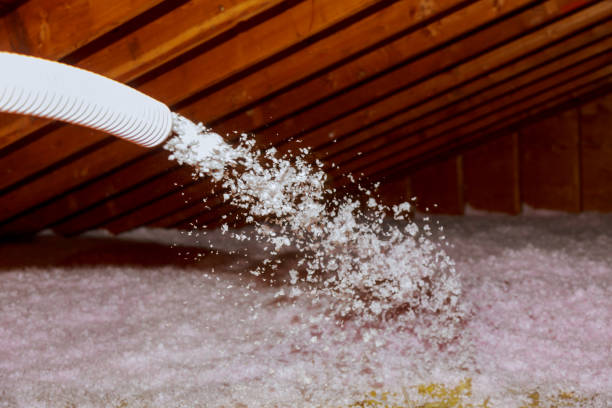Best Residential Insulation in Poplarville, MS